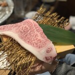 Oumi Yakiniku Horumon Sudaku Himeji Ten - 