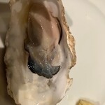 Oyster bar & Wine Belon Ginza - 