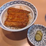 Unagi Kubota - 