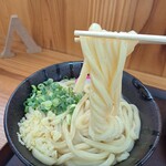 sanuki udon kobaya - 麺をトルネード!!