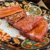 Yakiniku Taishu Sakaba Shin Nikuyakiya Toyonaka Shonai Ten - 