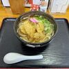 うどん茶屋 - 料理写真:ごぼう天うどん　610円