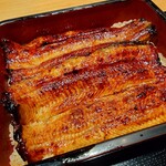 Unagi Takizawa - 