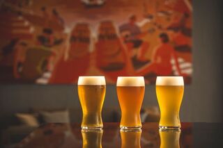 THE ORION BEER BAR - 