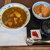 Taishu Shokudo Masahiro - ミニカレーラーメンとミニタレかつ丼セット