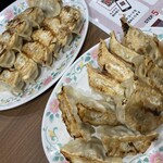 Utsunomiya Gyoza Kan Nishiguchi Ekimae Chuo Ten - 