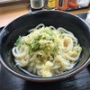 Fujimi Udon - 