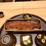 Unagi Yondaime Kikukawa Midorandosukuea Nagoyahonten - 蒲焼き1本重