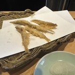 Tempura Sen no Tane - 