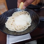 sanuki udon kobaya - 