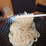 sanuki udon kobaya - 