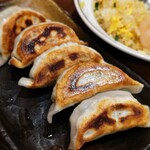 Chuka Izakaya Ryori Gyozaya - 焼き餃子