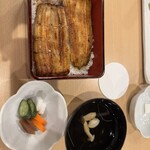 Unagi Kubota - 