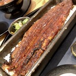 Unagi Yondaime Kikukawa Midorandosukuea Nagoyahonten - 蒲焼一本重