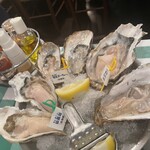 Oyster Bar ジャックポット - 