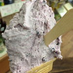 Wakasaya Ice Cream Garden - 