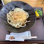 sanuki udon kobaya - 