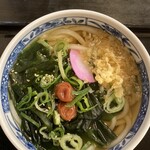 いよ路 - 料理写真:梅わかめうどん　510円