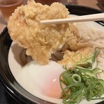 Sanuki Udon Ibukiya Seimen Akihabara Udx Ten - 