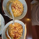 Ganso New Tantanmen Honpo Ueda Sumiyoshi Ten - 手前がタンタンメン普通奥がタンタンメンひかえめです～！