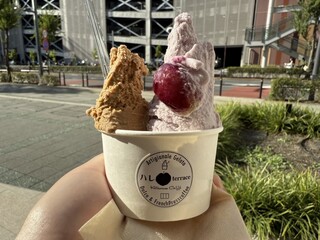 Premium Gelato Hare Terrace - 