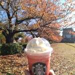 Starbucks Coffee Toyama Kansui Koen Ten - 