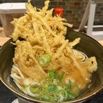 五島うどん だしぼんず - 料理写真:ごぼう天うどん