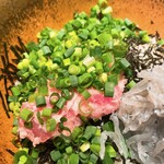 しらす屋ゆあさ湾 則種 - 