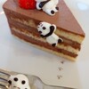 ダーパン ケーキ - 料理写真:ちょこ生ショート♪