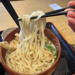 Kamaage Udon Hatsutomi - 