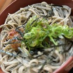 Izumo Soba Kigaru - 