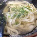 Tanotsu Udon - かけうどん　450円