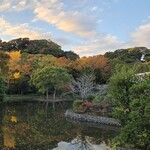 Toshimaya Karyo Hatokoji - 夕暮れの鶴岡八幡宮。お店はここから歩いて10分です