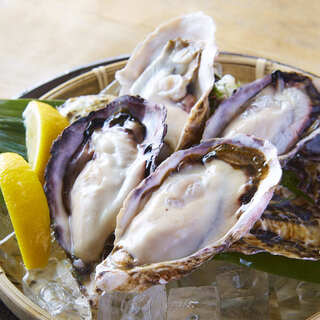 [Tombo's Three Great Specialties①] Fresh Oysters for 199 Yen! Delivered Daily from Ishinomaki!