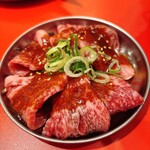 Ninniku Yakiniku Yodare Daruma Hanshinamagasakiten - 