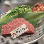 Miyazaki Ushi Teppanyaki Steak Shinsaibashi Miyachiku Miyazaki Kan - 