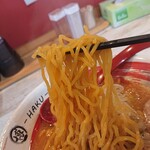 Ebetsu Ramen Haku - さがみ屋製麺の中太縮れ麺