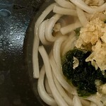 TAOYA Nishi Umihashi - 夜食のうどん　左