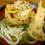 Self Udon Iriko - 