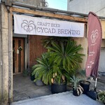 CYCAD BREWING - 