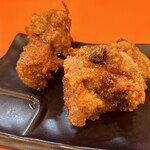 Tori Soba Karaage Senmon Ten Ramen Ebisu Ichinomiya Ten - 