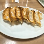 Gyoza no Osho Senba Minamihonchoten - にんにくゼロ生姜餃子