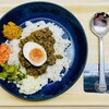 TOKYO MIX CURRY - 