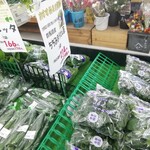 グル米 四季菜館 - 