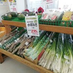 グル米 四季菜館 - 