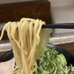 Tsukemen Honpo Karabu Hiroshima Ekimae Ten - 定番つけ麺1.5玉　