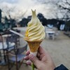 城山荘 - 料理写真:松山城を背景に伊予柑ソフト