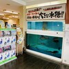 活魚寿司 - 料理写真: