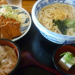 Tokutoku Udon Imabari Ten - 日替りランチ（チキン南蛮、うどん一玉増量、かやくごはん、冷奴）