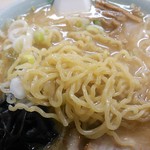 Ramen Horyu Nikappu Ten - 麺のアップ